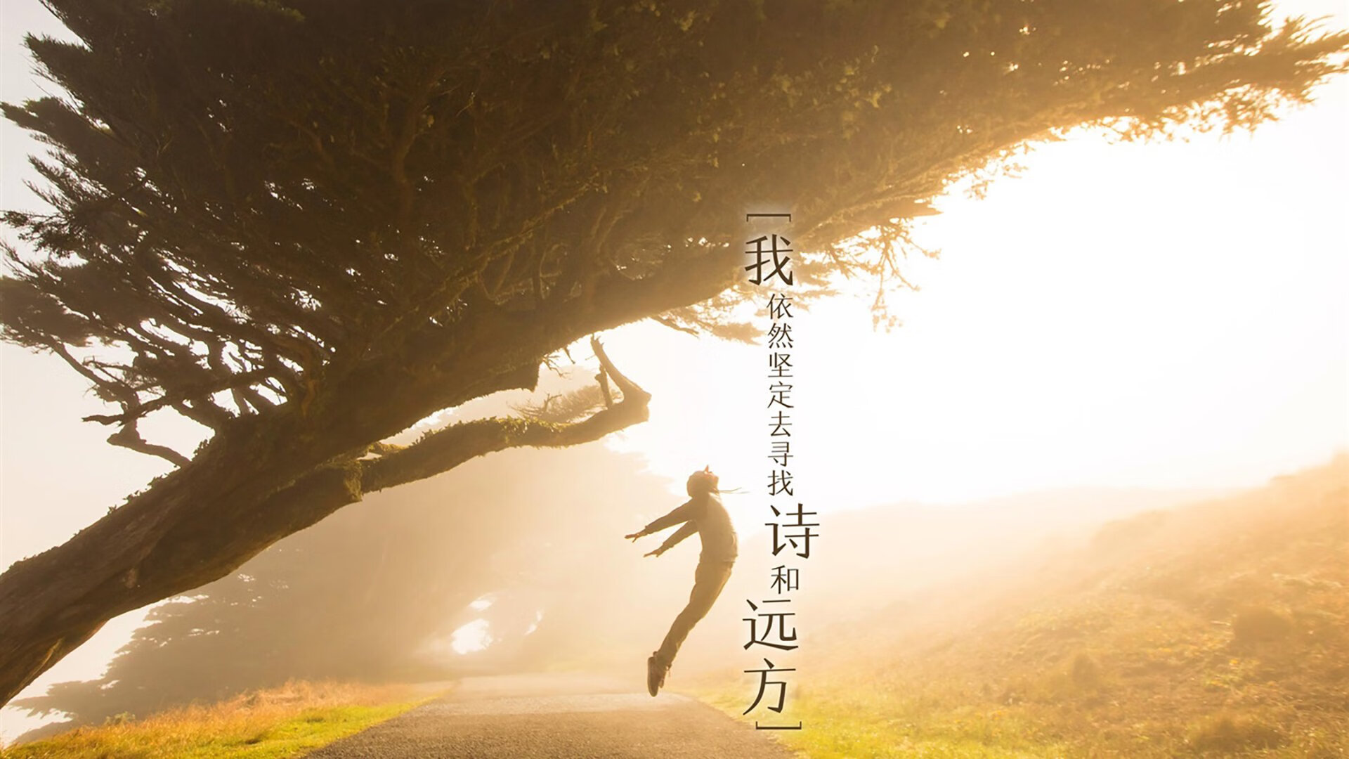 史上最大“黑马崛起”：逆境中夺冠的奇迹，黑马逆袭的例子