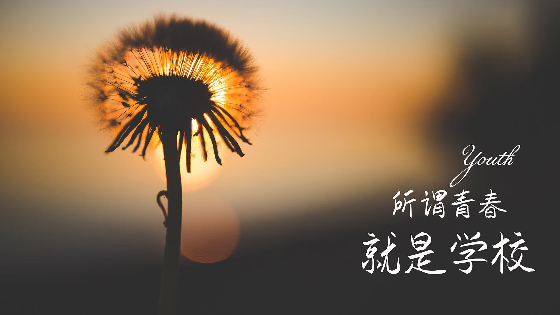 爱游戏电竞官网-法甲青训体系中引入HRV监测提升体能恢复效率，法甲青训排名