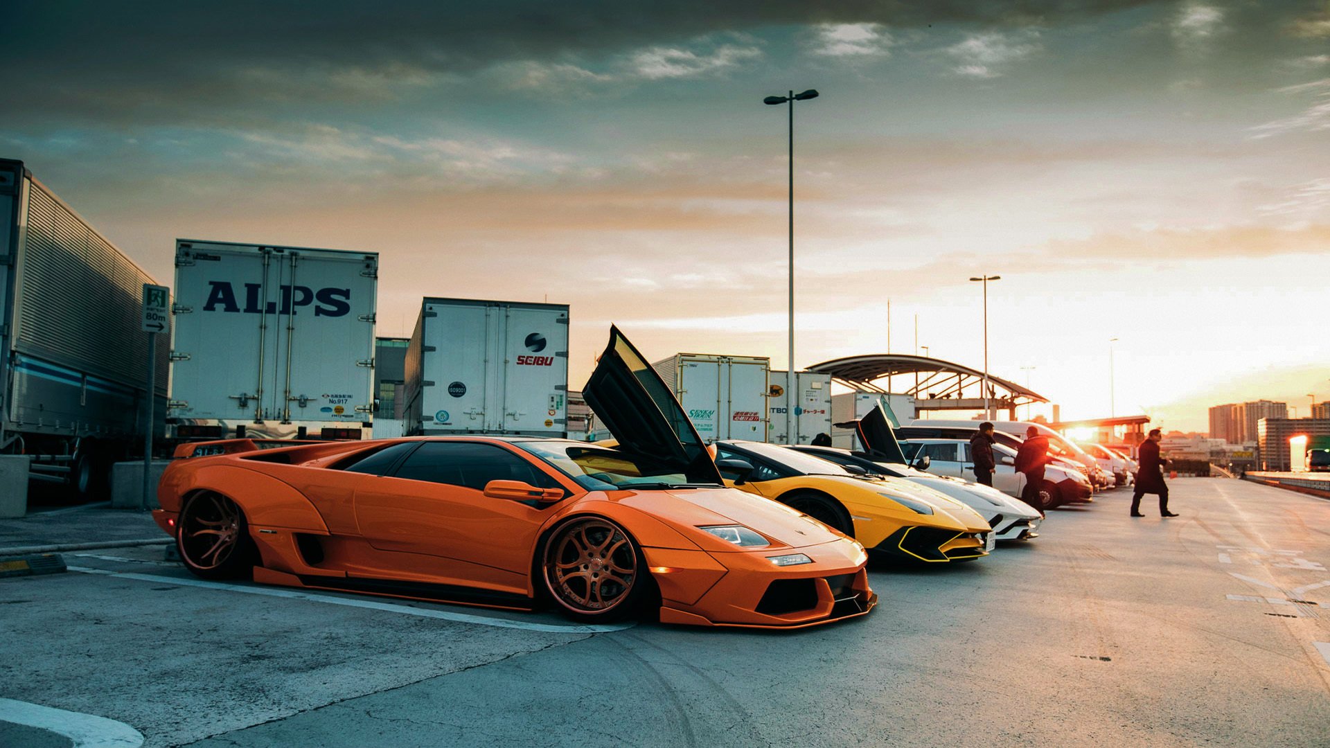 格雷琴·沃尔什50米蝶泳夺金时刻回顾，沃格尔钢琴价格