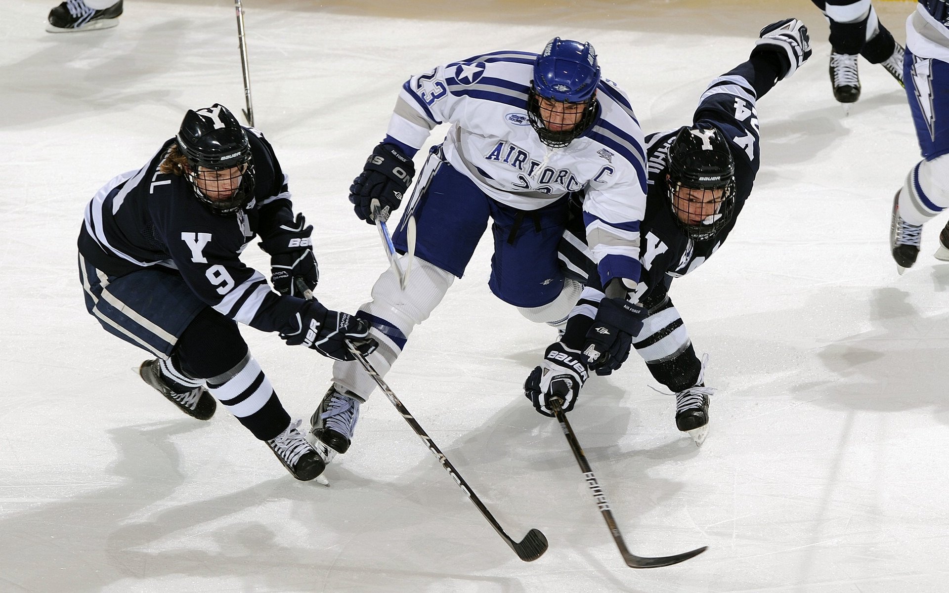 爱游戏下载-自然探险穿越赛，野外求生挑战极限技巧，野外探险节目综艺